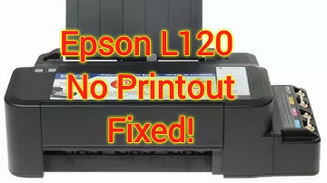 Epson L120 No Printout Fixed!