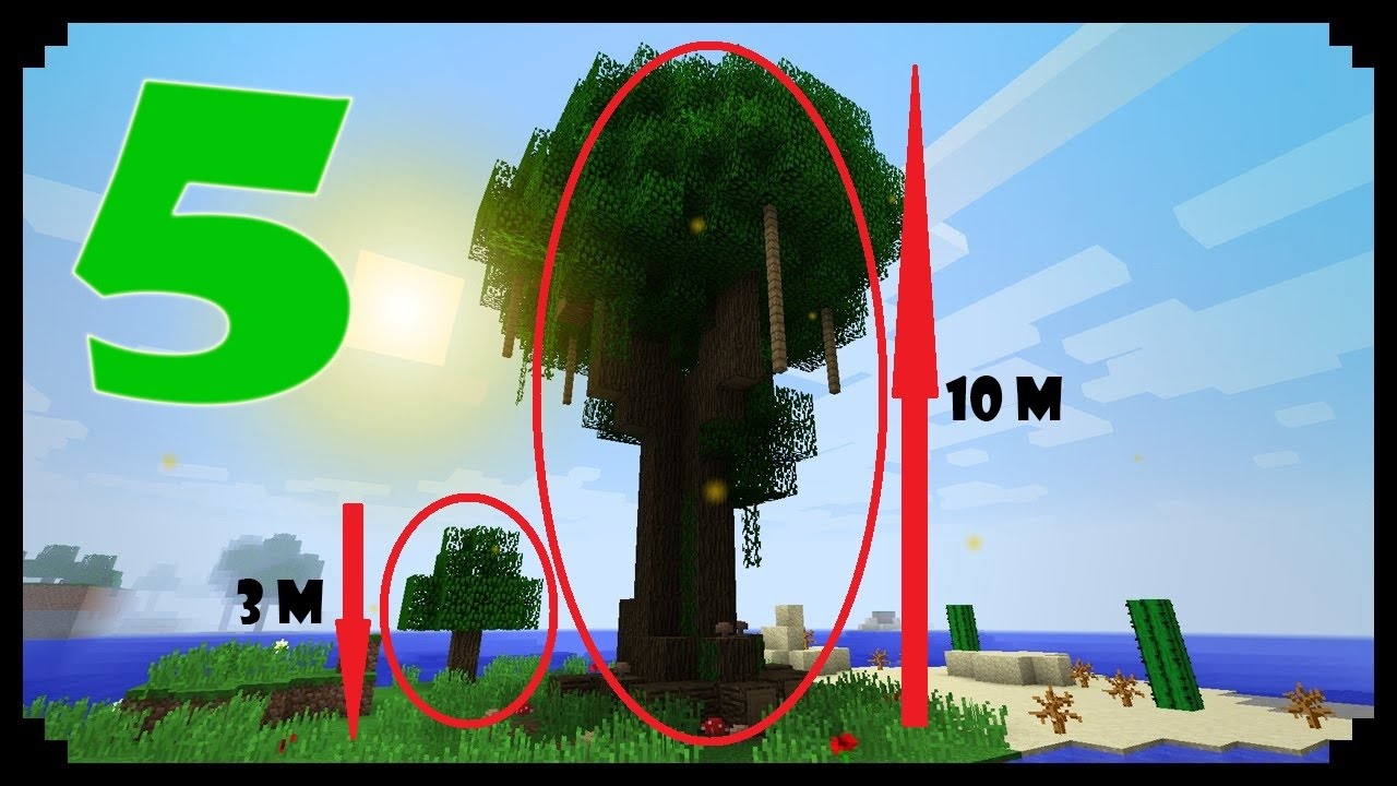 5 Fakta Menarik Tentang Minecraft #1 - YouTube