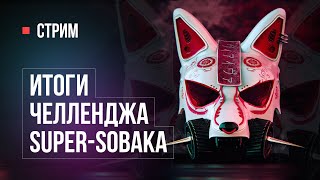 Итоги Челленджа Super-Sobaka