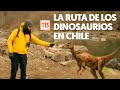 La ruta de los dinosaurios en Chile