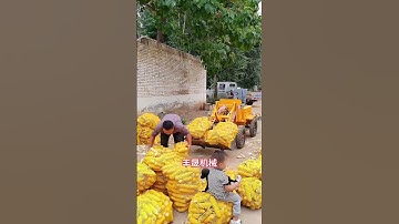 Small loader. Low price, global delivery # Made in China. #loader