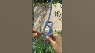 Amazing Figure 8 Knot #figure8knot #knot #knottying
