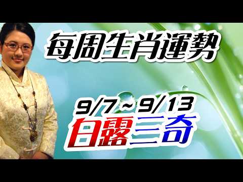 白露三奇。2026生肖運勢週報|9/7-9/13|金玲老師