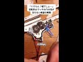 「ハマらない…？」絶望のカスタム挑戦！まさかのサイズ不一致に苦戦する様子