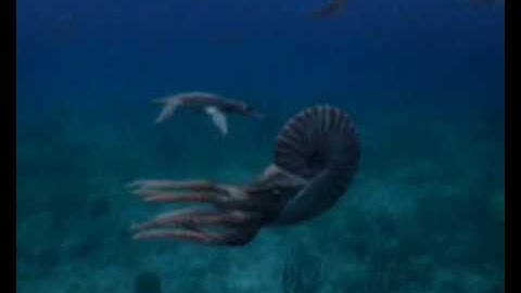 MSM Design - 3D Movie Camera  Uses Galil Motion Controllers