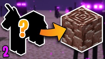 Minecraft But All Loot Drops Are Random Again #2