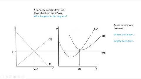 Intro Econ: Long Run Perfect Competition