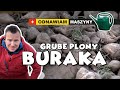 GRUBE PLONY BURAKA