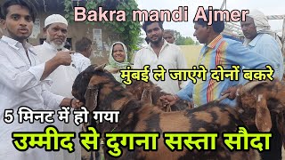 5 मिनट में खरीद लिया बकरा मुंबई के परिवार ने | Tuesday ajmer bakra mandi 2022 live | pkraj vlogs