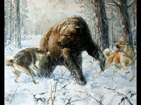 Hunting Unlimited 2011(часть 1)Русский цикл