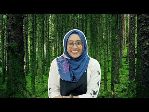 Video: Apakah itu mandi hutan?