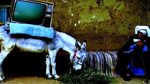 88歳ゴダール監督最新作、刺激的なアート体験／映画『イメージの本』予告編