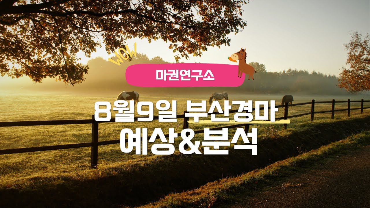 [마권연구소] 8월9일 부산경마 예상&분석(토요일 경마)