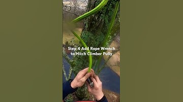 SRT Tutorial for Climbing Arborist Setting Quick Canopy Anchor #diy #climbingarborist #treeclimber