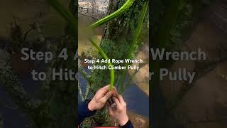 SRT Tutorial for Climbing Arborist Setting Quick Canopy Anchor #diy #climbingarborist #treeclimber