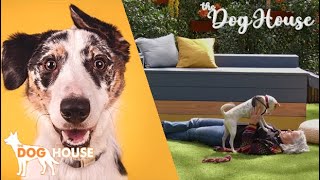 The Dog House Australia - Season 3 Episode 2