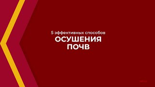 Онлайн курс обучения «Мелиорация» - 5 эффективных способов осушения почв