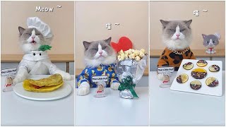 How Cats cooking campillation cats amazing  smart cats  34   Copy by DJ REAT REMAX BLOGGER 7 views 1 year ago 5 minutes, 12 seconds