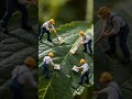 👷はたらく小人👷 Vol.001