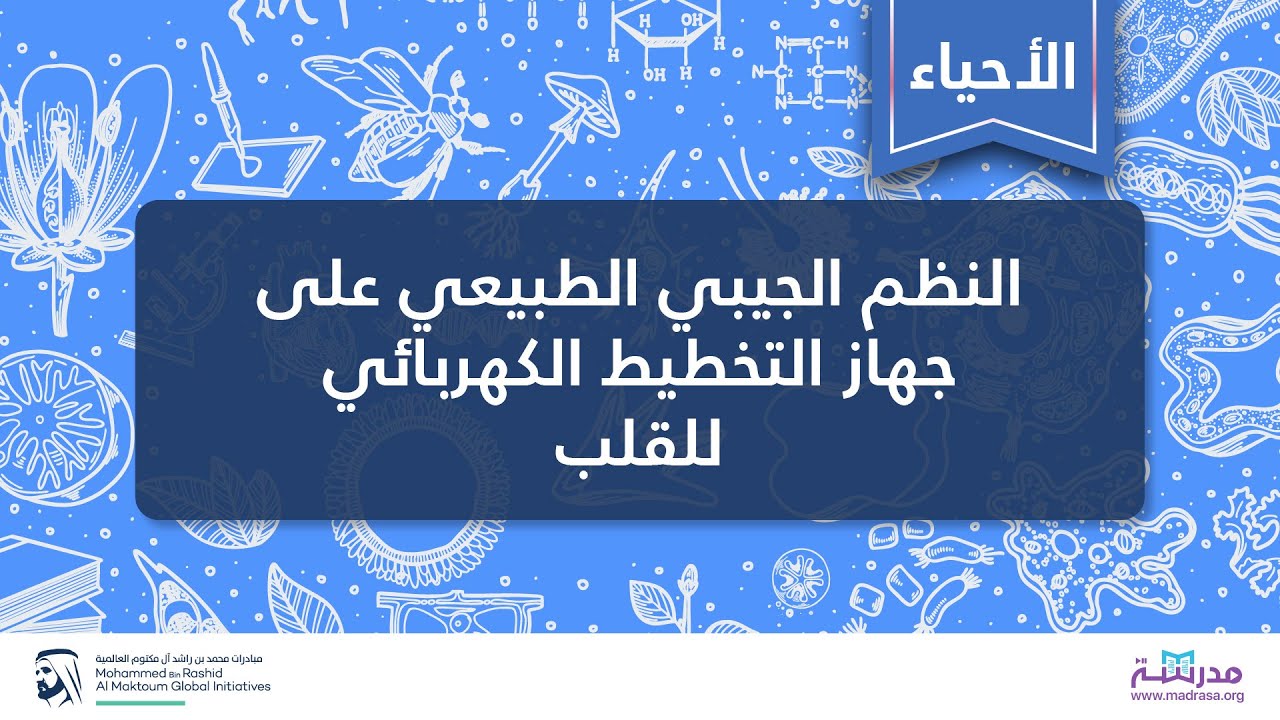 النظم الجيبي الطبيعي على جهاز التخطيط الكهربائي للقلب | الأحياء | أمراض الجهاز الدوري