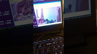 running yolo v8 on jetson orin nano