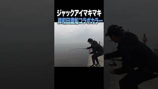 【ブリ降臨】ジャックアイマキマキ岸和田渡船コラボカラー#shorts #釣り #ショアジギング #fishing