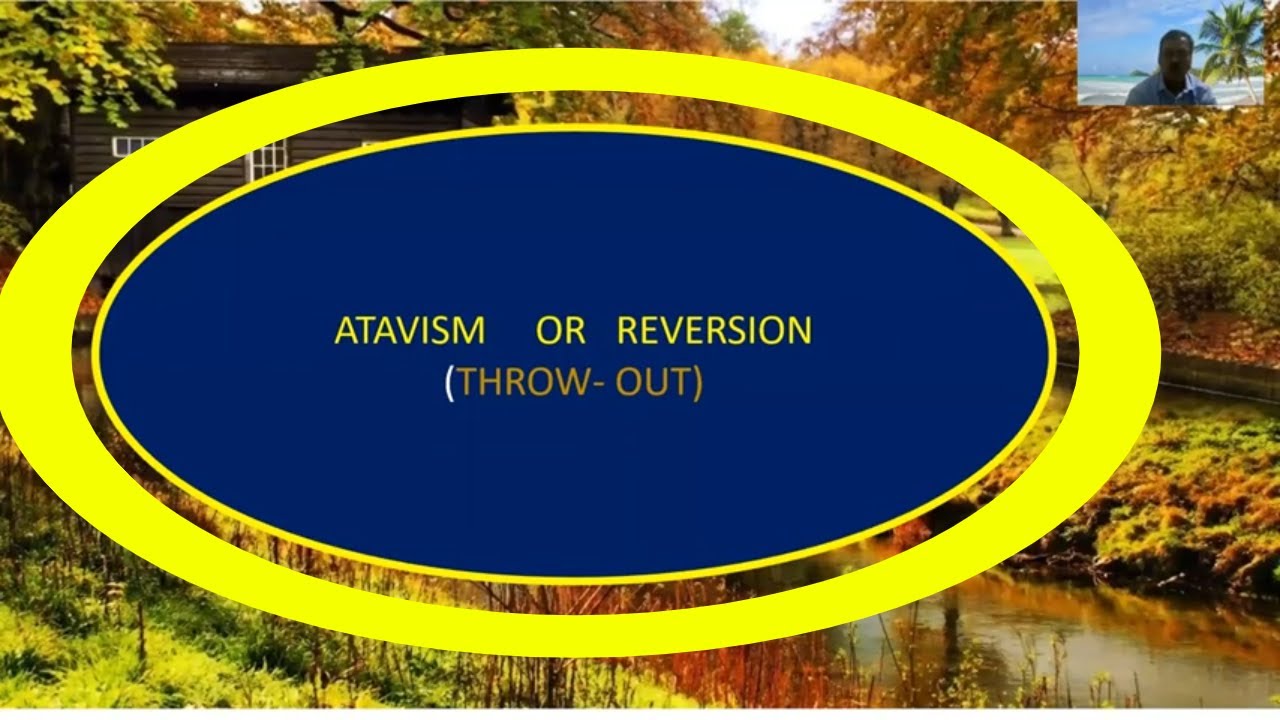 ATAVISM