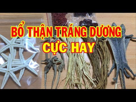Video Các vị thuốc bổ thận tráng dương - Bài thuốc ngâm rượu... - youtube
