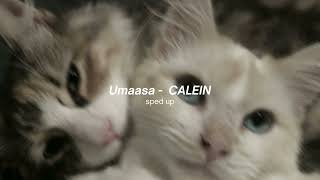 Umaasa - CALEIN sped up + nightcore