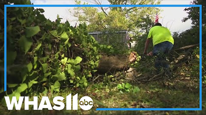 Several injured after massive rare tornado touches down in California