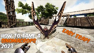 How to TRAP a Sinomacrops In Ark Survival Evolved 2024 #sinomacrops #ark #arksurvivalevolved