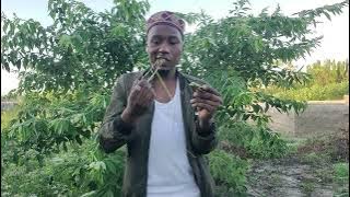 DAWA KIBOKO KINGA YA WACHAWI, MAJINI HAWATAKUGUSA SIKILIZA NA ANGALIA KWA MAKINI UTANISHUKURUNI SANA