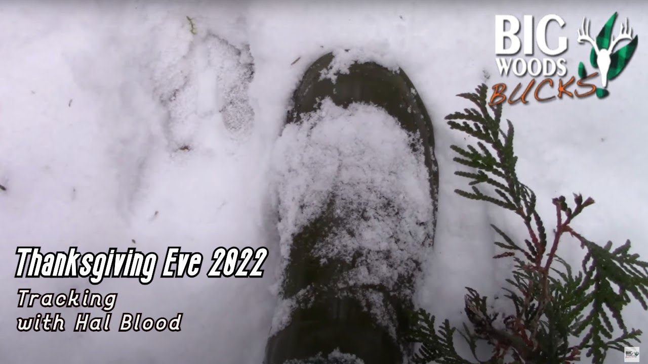 Thanksgiving Eve 2022 | Tracking with Hal Blood - YouTube