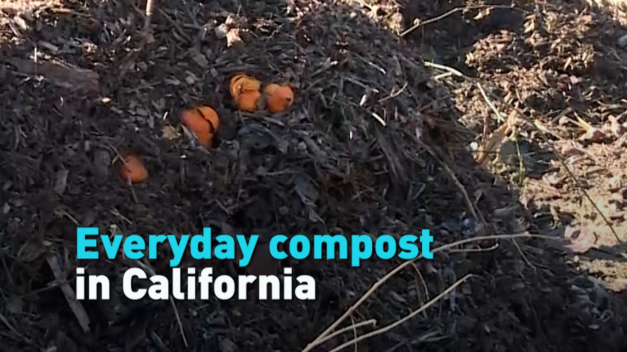 Everyday composting in California YouTube
