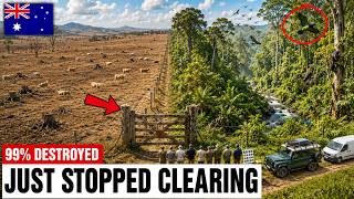 How One Sydney Banker Spent 36 Years Bringing Back Australia's Lost Rainforest