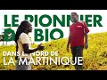 Rencontre avec le pionnier du bio dans le nord de la martinique