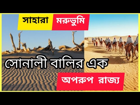 ভিডিও: মরুভূমি Inalষধি গুল্ম