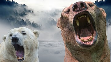 Largest Extinct Bear VS Living Bears
