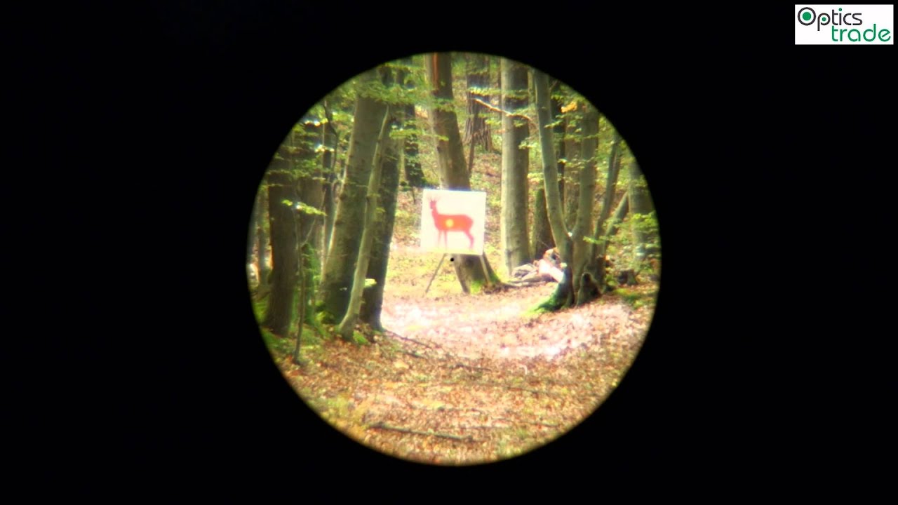 Delta Optical Titanium 1-5.8x24 reticle FD0 subtensions