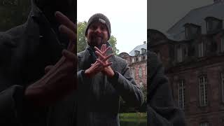 Alsace–Lorraine Under Imperial German Rule