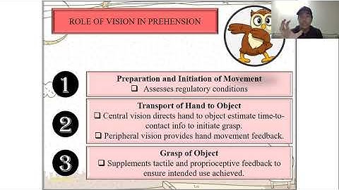 SPS 606: Performance and Motor Control Characteristics of Functional Skills (PART 2)