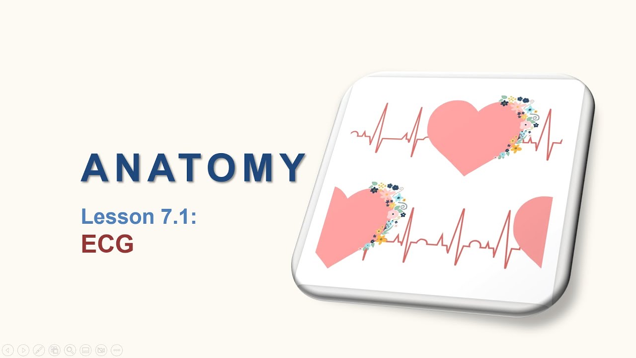 Anatomy lesson 7.1 ECG Basics