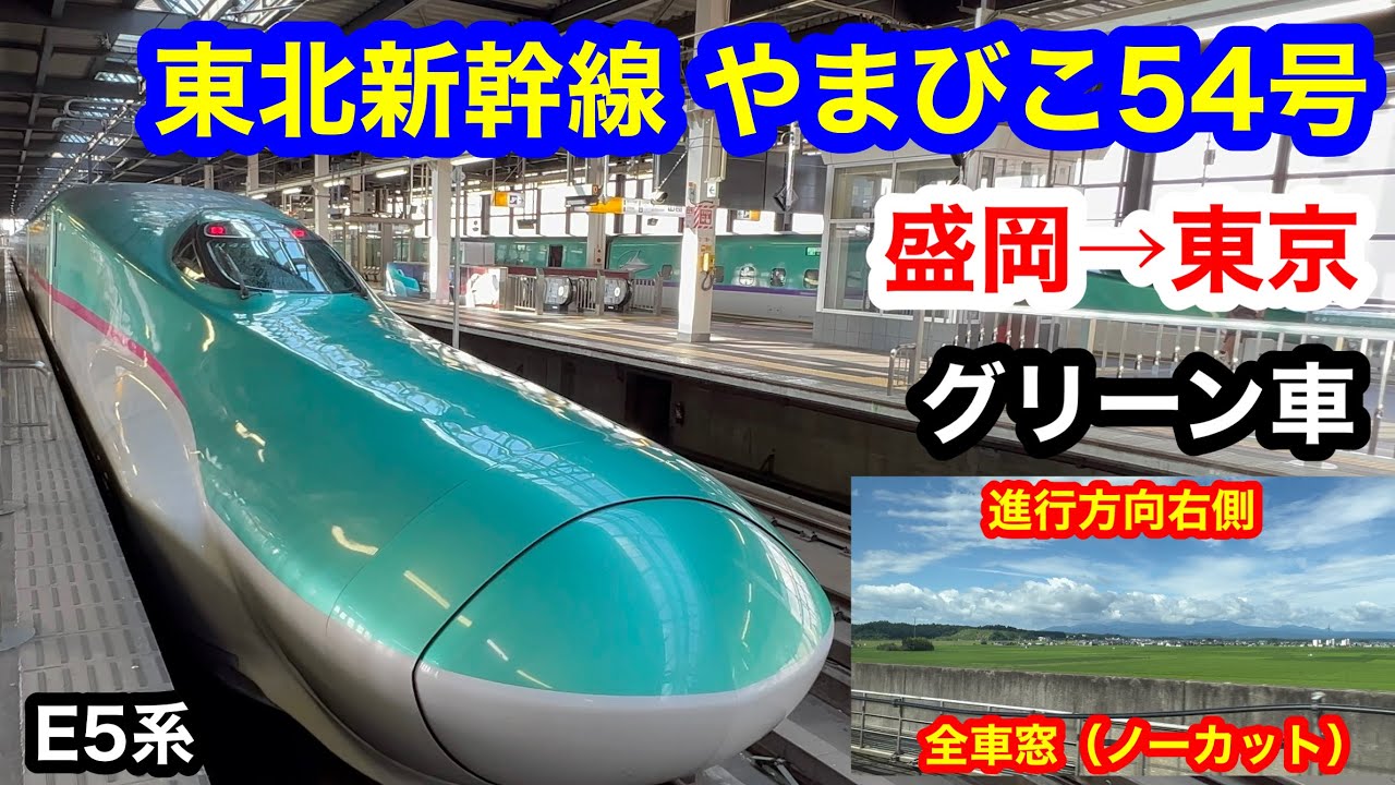 東北新幹線やまびこ54号 4K 盛岡→東京 グリーン車 全区間車窓