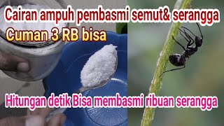 SUPER AMPUH || BUAT CAIRAN Pembasmi semut & serangga