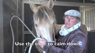 Deworm a 'difficult' horse  that says NOPE