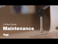 The Dual Boiler™ | A quick guide on how to clean and unblock the steam wand | Sage Appliances UK