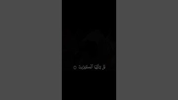 تلاوه هادئه لسورة الكافرون📻❤️ #quran #ياسر_الدوسري