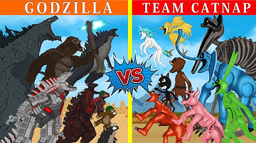 TEAM GODZILLA & KONG vs Catnap & Dogday, Zoonomaly MONSTERS: If Boundary Changes? - FUNNY CARTOON