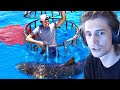 xQc Reacts to Shark Attack Test- Human Blood vs. Fish Blood | Mark Rober | xQcOW