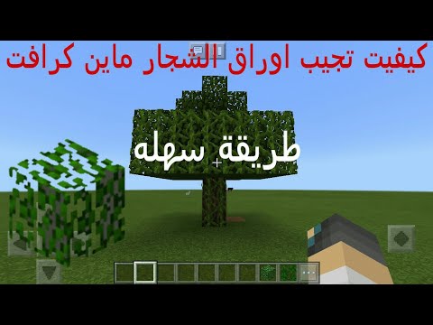 فيديو: كيف تحصد أوراق الأشجار في Minecraft؟